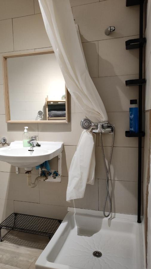 Appartement With Bathroom, Refrigerator And Microwave