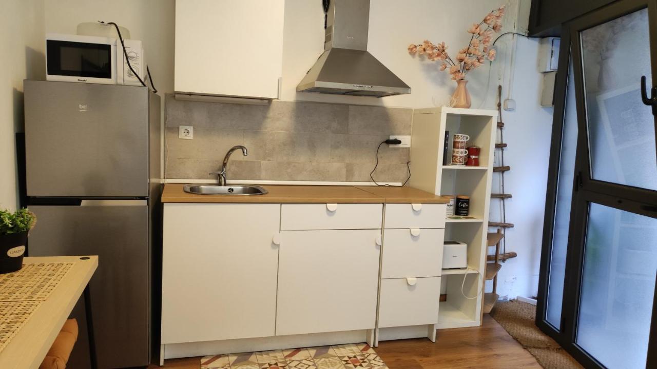Appartement With Bathroom, Refrigerator And Microwave *